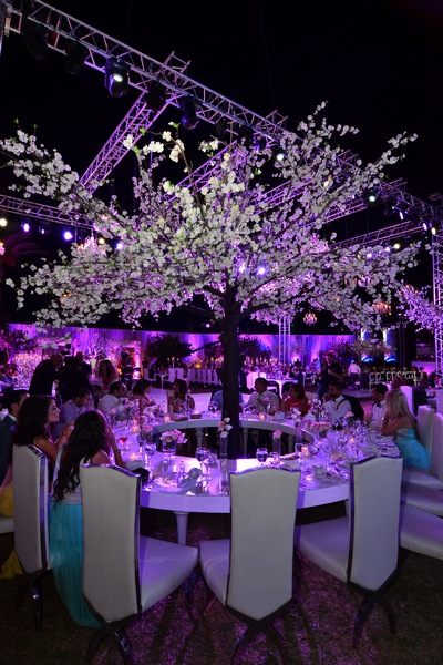 Wedding of Toni Akar